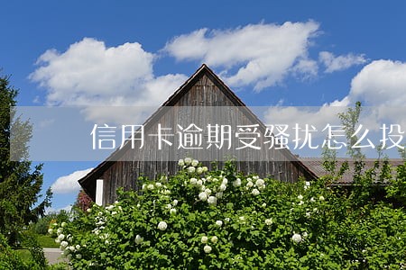 信用卡逾期受骚扰怎么投诉
