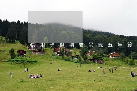 信用卡逾期变呆账五年算多少期
