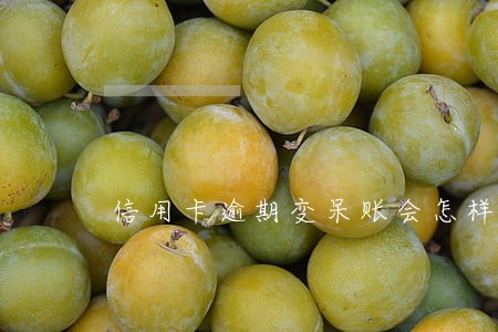 信用卡逾期变呆账会怎样 信用卡逾期变呆账会怎样
