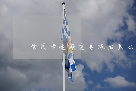 信用卡逾期变呆账后怎么办