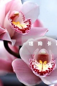 信用卡逾期变呆账怎么还