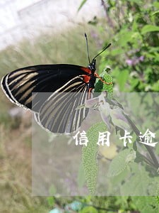 信用卡逾期变呆账还清还能货款吗 信用卡逾期变呆账还清还能货款吗