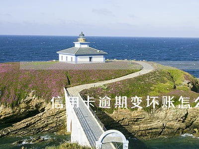 信用卡逾期变坏账怎么协商 信用卡逾期变坏账怎么协商