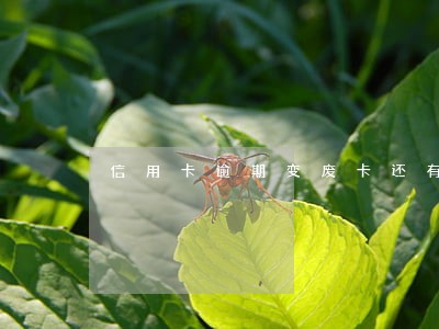 信用卡逾期变废卡还有利息吗 信用卡逾期变废卡还有利息吗