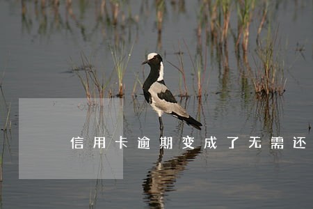 信用卡逾期变成了无需还款 信用卡逾期变成了无需还款