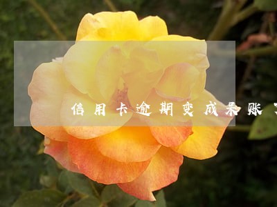 信用卡逾期变成呆账了还会怎样 信用卡逾期变成呆账了还会怎样