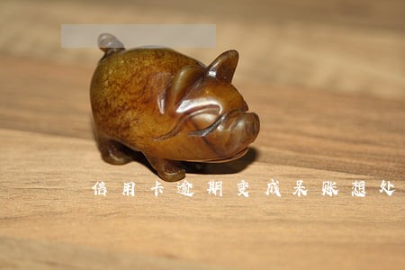 信用卡逾期变成呆账想处理 信用卡逾期变成呆账想处理
