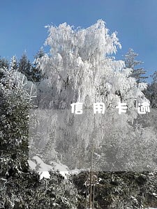 信用卡逾期变成呆账时间 信用卡逾期变成呆账时间