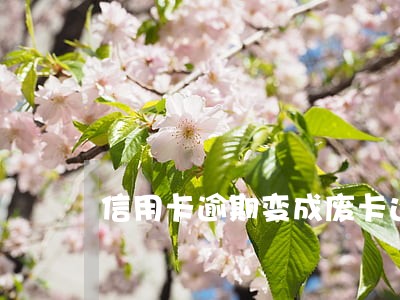 信用卡逾期变成废卡还会涨利息吗 信用卡逾期变成废卡还会涨利息吗