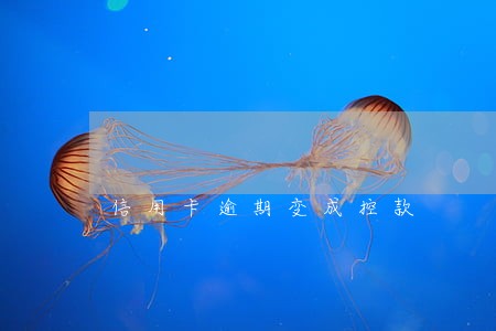 信用卡逾期变成控款 信用卡逾期变成控款