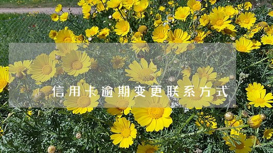 信用卡逾期变更联系方式