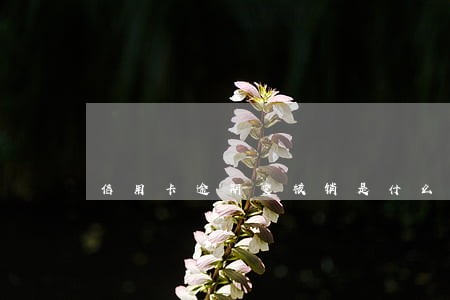 信用卡逾期变核销是什么意思 信用卡逾期变核销是什么意思