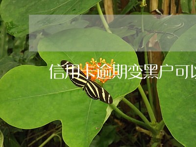 信用卡逾期变黑户可以出国吗 信用卡逾期变黑户可以出国吗