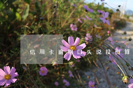 信用卡逾期口头说投资算吗