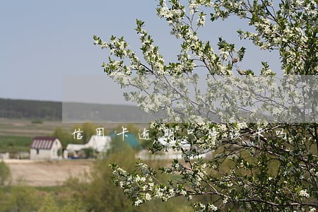 信用卡逾期只停该卡吗 信用卡逾期只停该卡吗