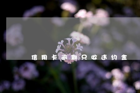 信用卡逾期只收违约金 信用卡逾期只收违约金