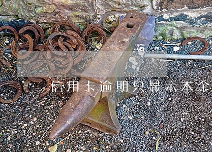 信用卡逾期只显示本金 信用卡逾期只显示本金