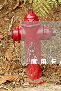 信用卡逾期只有一处房产 信用卡逾期只有一处房产
