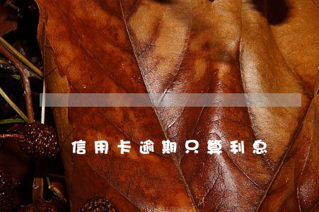 信用卡逾期只算利息 信用卡逾期只算利息