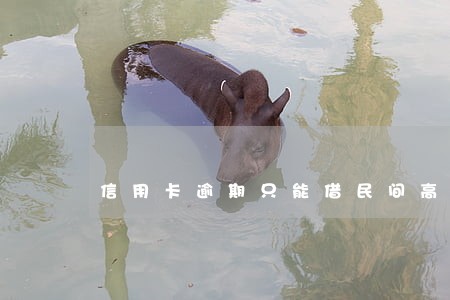 信用卡逾期只能借民间高利还咋办 信用卡逾期只能借民间高利还咋办