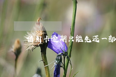 信用卡逾期只能先还一部分