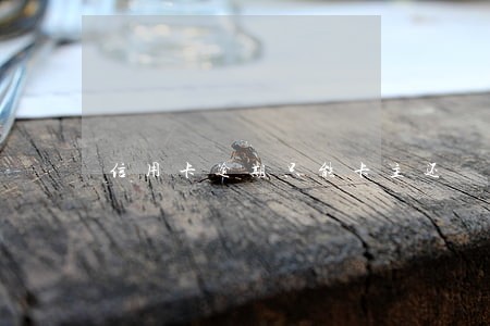 信用卡逾期只能卡主还 信用卡逾期只能卡主还