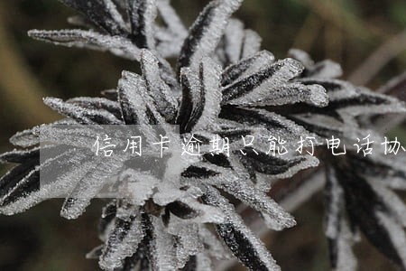 信用卡逾期只能打电话协商吗 信用卡逾期只能打电话协商吗