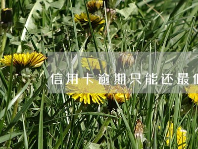 信用卡逾期只能还最低 信用卡逾期只能还最低