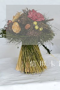 信用卡逾期只能还清账单吗 信用卡逾期只能还清账单吗