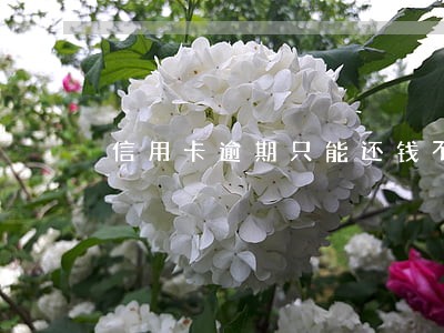 信用卡逾期只能还钱不能刷了