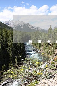 信用卡逾期只要每个月还一点 信用卡逾期只要每个月还一点