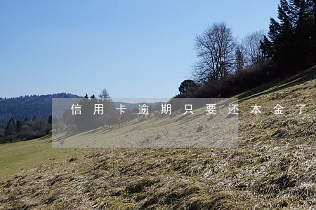 信用卡逾期只要还本金了吗