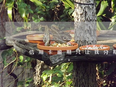 信用卡逾期只让我分期12个月 信用卡逾期只让我分期12个月