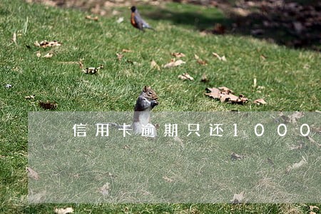 信用卡逾期只还1000 信用卡逾期只还1000