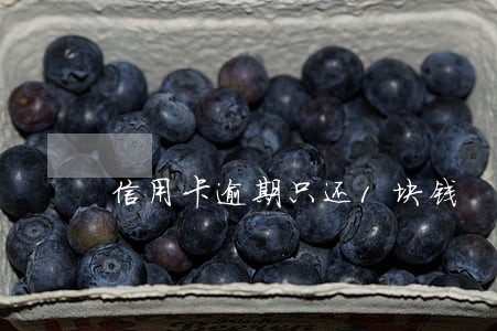 信用卡逾期只还1块钱 信用卡逾期只还1块钱