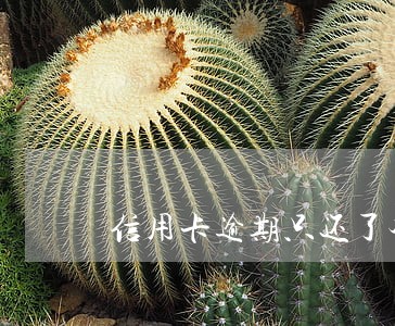 信用卡逾期只还了本金和利息 信用卡逾期只还了本金和利息
