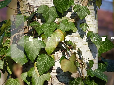 信用卡逾期只还几百黑名单 信用卡逾期只还几百黑名单