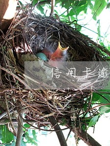信用卡逾期只还最低还款可以吗 信用卡逾期只还最低还款可以吗