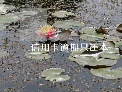 信用卡逾期只还本 信用卡逾期只还本