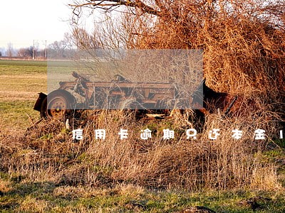 信用卡逾期只还本金1300