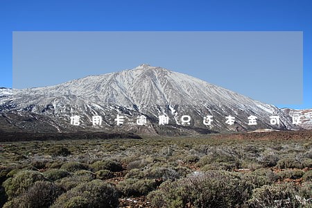 信用卡逾期只还本金可以分期么 信用卡逾期只还本金可以分期么