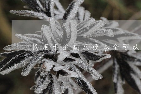信用卡逾期只还本金可以吗