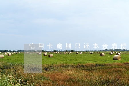 信用卡逾期只还本金清偿