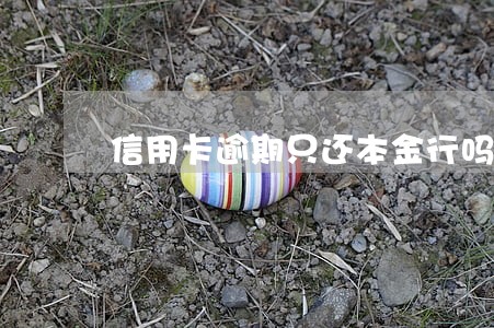 信用卡逾期只还本金行吗 信用卡逾期只还本金行吗