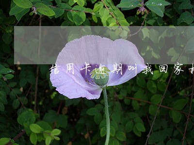 信用卡逾期叫我回家核实情况 信用卡逾期叫我回家核实情况