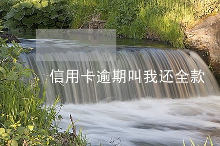 信用卡逾期叫我还全款 信用卡逾期叫我还全款