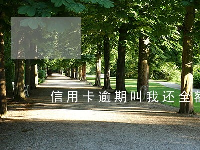 信用卡逾期叫我还全额我还最低 信用卡逾期叫我还全额我还最低
