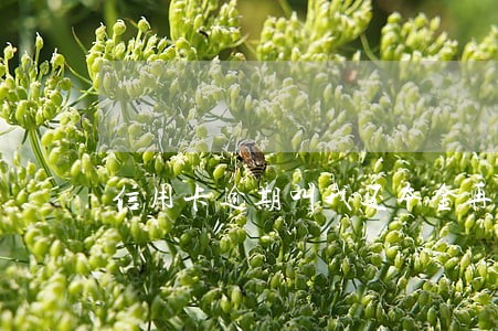 信用卡逾期叫我还本金再谈分期 信用卡逾期叫我还本金再谈分期