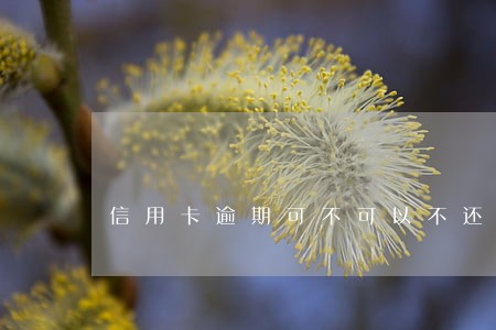 信用卡逾期可不可以不还利息