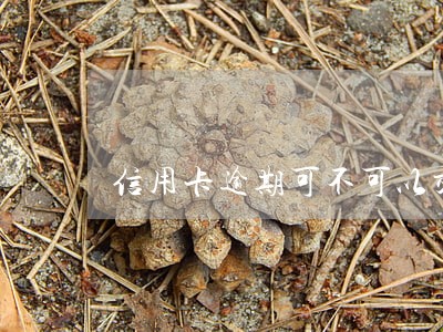 信用卡逾期可不可以交五险一金 信用卡逾期可不可以交五险一金